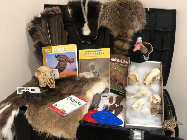 Discovery Trunk: Animal Adaptations