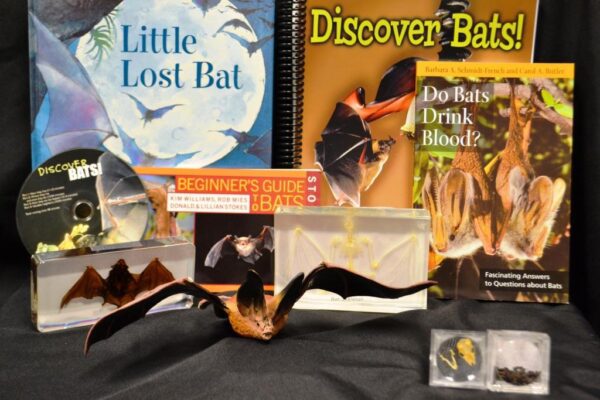 Discovery Trunk: Bats-A-Billion