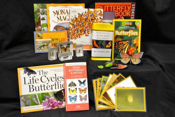 Butterflies Flutter By Discovery Trunk