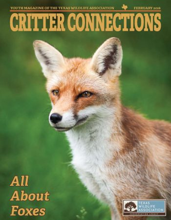 Critter_Connections_Feb_2018_Cover